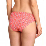 Women Pack of Assorted Bikini Briefs